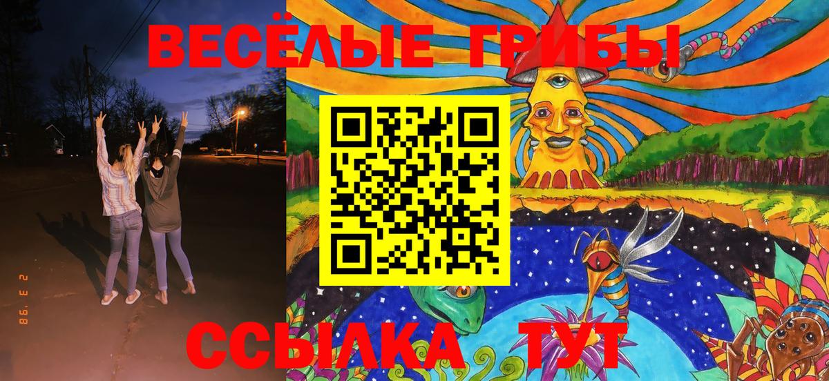 ГАШ Апшеронск