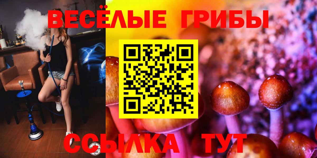 Апшеронск  Галлюциногенные грибы Psilocybe  Вход с VPN 